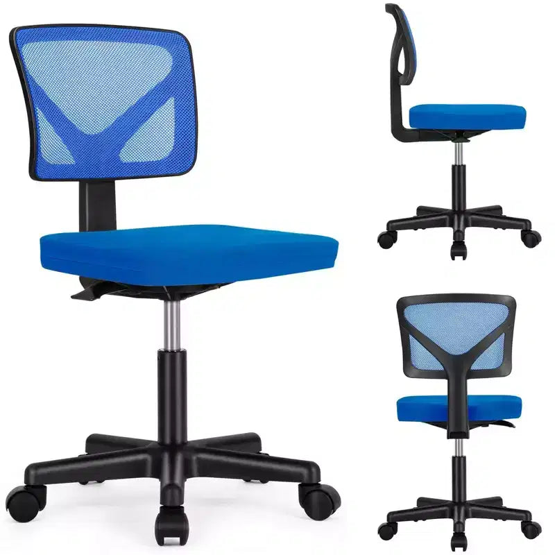 TUYOHW Low-Back Mesh Armless Office Chair with Lumbar Support for Study, Office and Reading Room