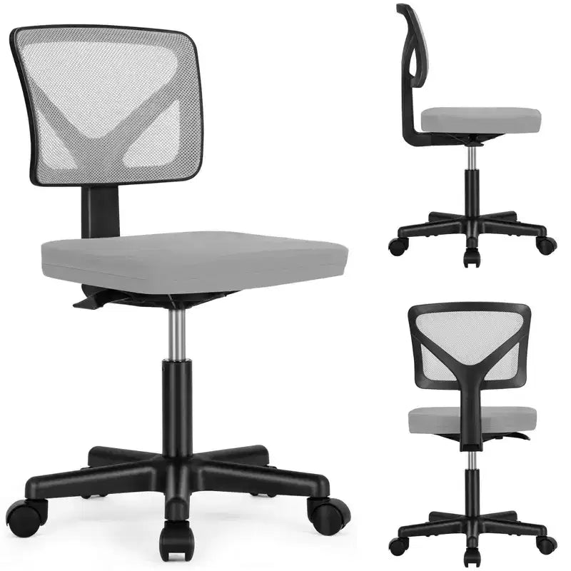 TUYOHW Low-Back Mesh Armless Office Chair with Lumbar Support for Study, Office and Reading Room