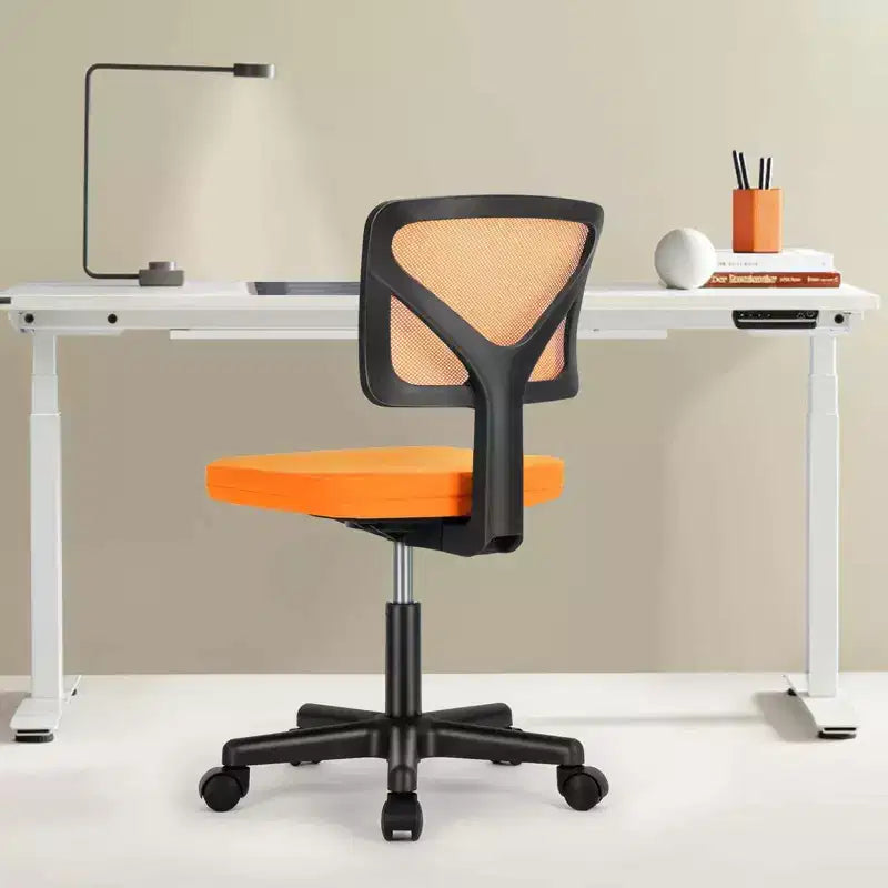 TUYOHW Low-Back Mesh Armless Office Chair with Lumbar Support for Study, Office and Reading Room