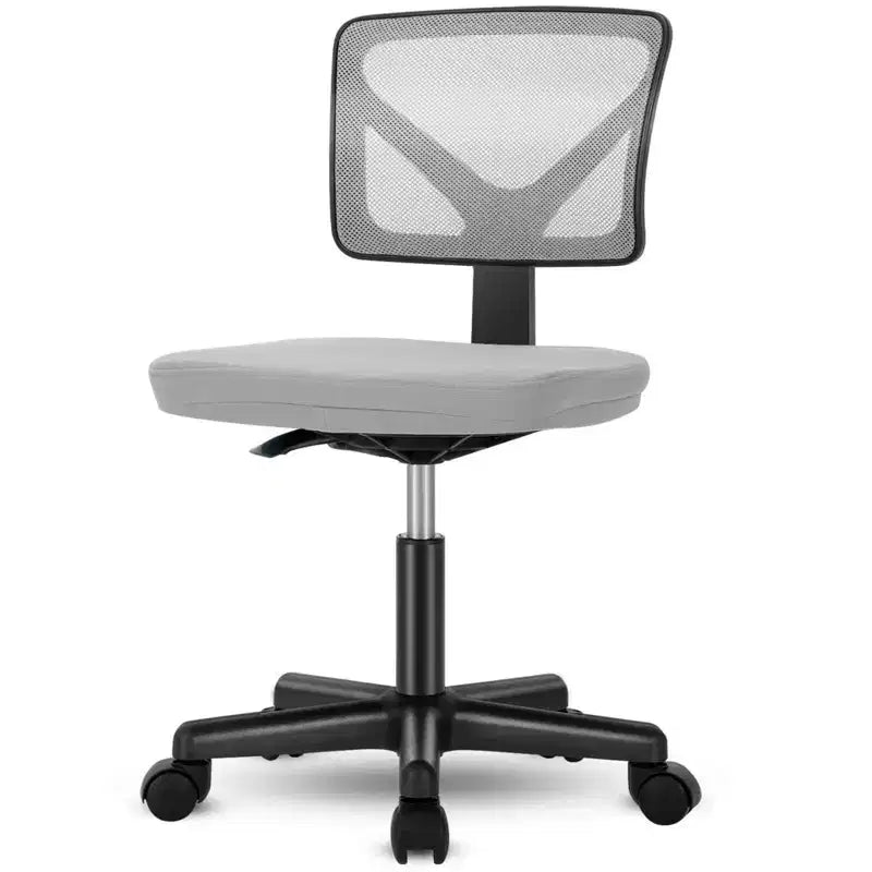 TUYOHW Low-Back Mesh Armless Office Chair with Lumbar Support for Study, Office and Reading Room