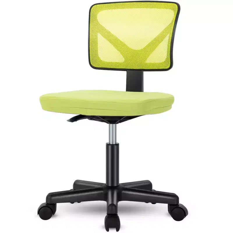 TUYOHW Low-Back Mesh Armless Office Chair with Lumbar Support for Study, Office and Reading Room